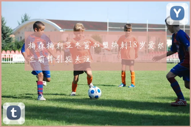 梅森梅利亚冬窗加盟热刺18岁爱尔兰前锋引发关注