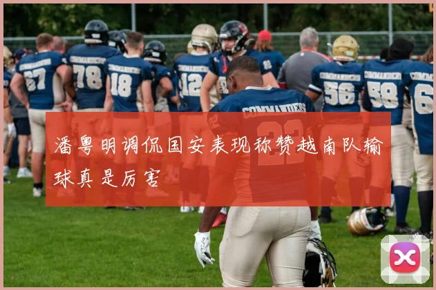 潘粤明调侃国安表现称赞越南队输球真是厉害