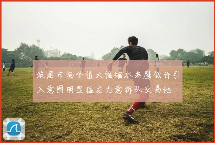 浓眉市场价值大幅缩水老鹰低价引入意图明显猛龙无意拆队交易他