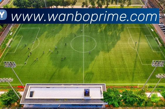 万博体育APP 高清赛事图